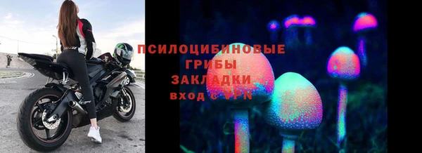 ПСИЛОЦИБИНОВЫЕ ГРИБЫ Алзамай