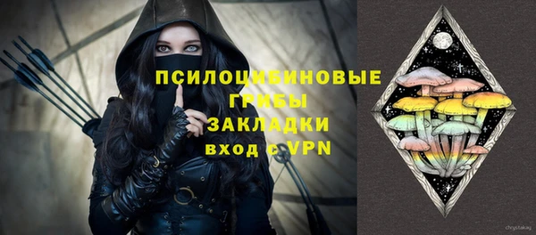 ПСИЛОЦИБИНОВЫЕ ГРИБЫ Алзамай